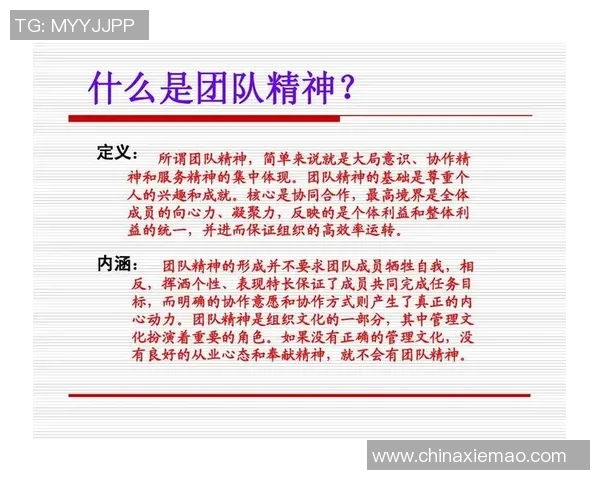 南京足球队在总决赛中的精彩表现与团队力量的深度解析