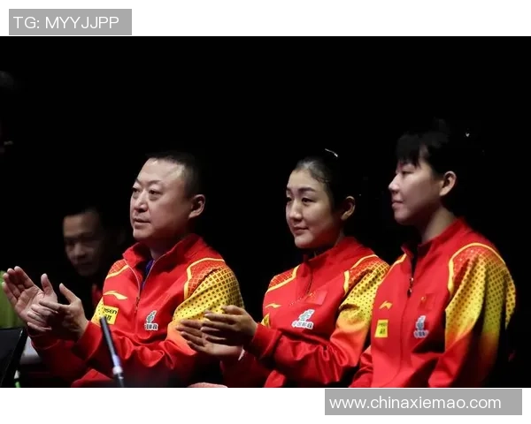 北京乒乓球队在锦标赛中的个人能力表现分析与点评