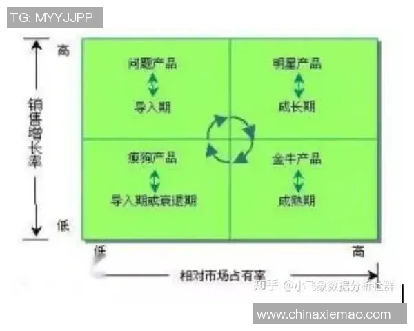 重庆网球队在全国锦标赛中的团队协作表现分析与启示